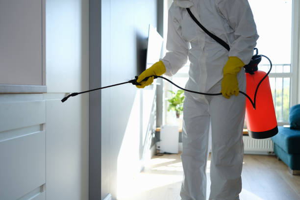 Best Industrial Mold Remediation in Willow Creek, CA